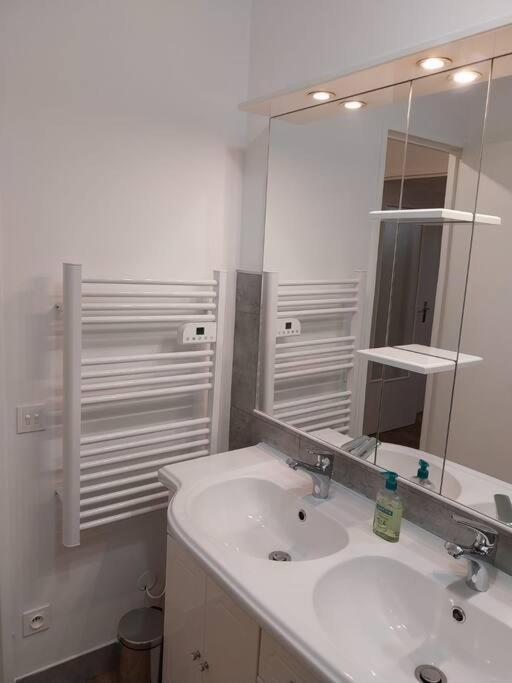 Appartement Residence Les Dryades Avec Vue Montagne 제라르메르 외부 사진